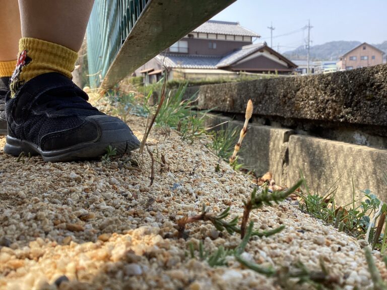 3歳児　にじチーム　「小さい春をみつけたよ！」